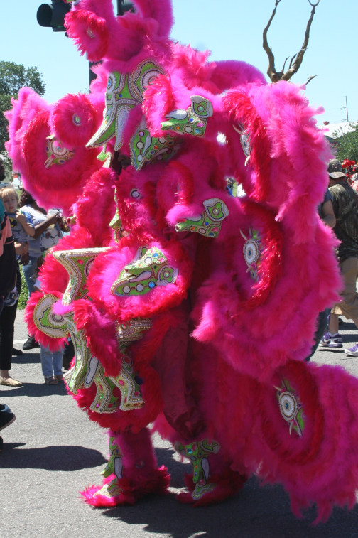 Mardi Gras 
 Indian